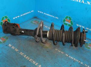 Suspension Strut TOYOTA Yaris Verso (P2)