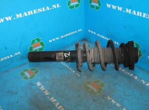 Suspension Strut AUDI A3 (8P1), AUDI A3 Sportback (8PA)