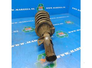 Suspension Strut HYUNDAI i10 (PA)