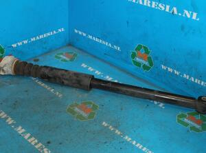 Shock Absorber MAZDA 2 (DY)