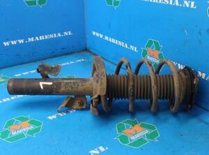 Shock Absorber FORD C-Max (DM2), FORD Focus C-Max (--)