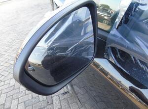 Wing (Door) Mirror RENAULT CLIO V (B7_)