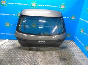 Kofferruimteklep AUDI A3 Sportback (8VA, 8VF), AUDI A6 Allroad (4GH, 4GJ, C7)