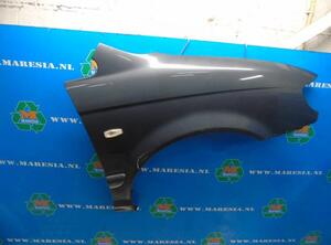 Spatbord HYUNDAI TRAJET (FO)