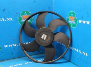 Radiator Electric Fan  Motor RENAULT KANGOO Express (FW0/1_)