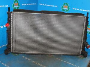 Radiator FORD Focus C-Max (--), FORD C-Max (DM2)