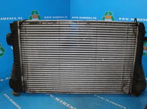 Intercooler VW Jetta III (1K2)