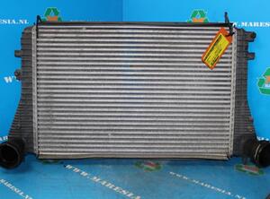 Intercooler SEAT Altea (5P1), SEAT Altea XL (5P5, 5P8), SEAT Toledo III (5P2)