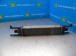 Intercooler FIAT Grande Punto (199), FIAT Punto (199), FIAT Punto Evo (199)