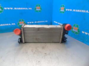 Intercooler FORD FOCUS III