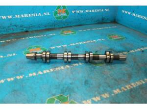 Camshaft AUDI A3 (8P1), AUDI A3 Sportback (8PA)