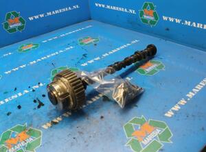 Camshaft Gear FORD Focus III (--)