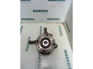 Stub Axle RENAULT KANGOO Express (FC0/1_)