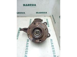 Stub Axle PEUGEOT 206 Schrägheck (2A/C), PEUGEOT 206 Stufenheck (--)