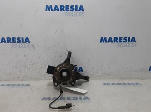 Stub Axle RENAULT Zoe (BFM)