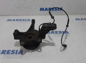 Stub Axle RENAULT Zoe (BFM)