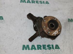 Stub Axle RENAULT Twingo II (CN0)