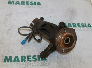 Stub Axle CITROËN C3 Picasso (--)