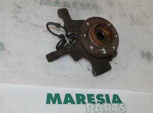 Stub Axle RENAULT Clio III (BR0/1, CR0/1)