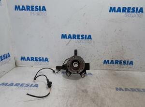 Stub Axle RENAULT Clio III (BR0/1, CR0/1)