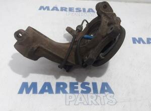 Stub Axle PEUGEOT 207 SW (WK)