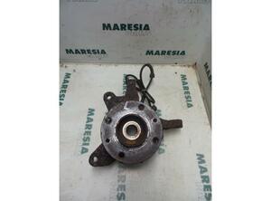 Stub Axle RENAULT Megane I Klasseic (LA0/1)