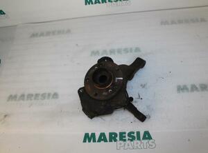 Stub Axle RENAULT VEL SATIS (BJ0_)