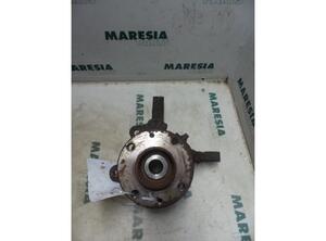 Stub Axle RENAULT Kangoo Express (FC0/1)