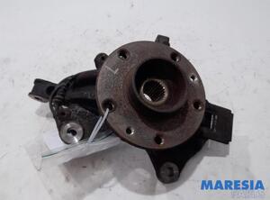 Stub Axle RENAULT MEGANE III Grandtour (KZ0/1)