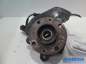 Stub Axle RENAULT Twingo II (CN0)