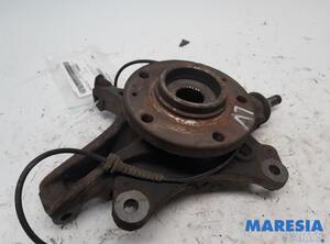 Stub Axle PEUGEOT RCZ (--)