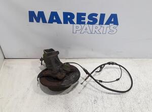 Stub Axle FIAT Ducato Kasten (250, 290), FIAT Ducato Bus (250, 290), FIAT Ducato Kasten (250)