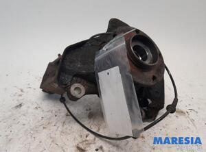 Stub Axle FIAT Ducato Kasten (250, 290), FIAT Ducato Bus (250, 290), FIAT Ducato Kasten (250)