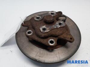 Stub Axle RENAULT Megane III Coupe (DZ0/1)