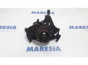 Stub Axle FIAT PANDA (312_, 319_), FIAT PANDA VAN (312_, 519_), LANCIA YPSILON (312_)