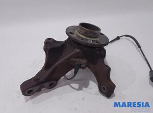 Stub Axle RENAULT WIND (E4M_)