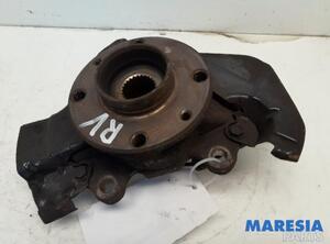 Stub Axle FIAT FIORINO Box Body/MPV (225_), FIAT QUBO (225_), FIAT FIORINO MPV (225_)