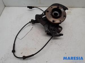 Stub Axle FIAT PANDA (312_, 319_), LANCIA YPSILON (312_), FIAT PANDA VAN (312_, 519_), FIAT 500 (312_)