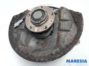 Stub Axle CITROËN C5 III (RD_), CITROËN C5 III Break (RW_), CITROËN C6 (TD_), PEUGEOT 508 I (8D_)