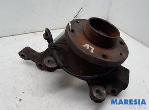 Stub Axle RENAULT CLIO III (BR0/1, CR0/1)