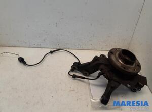 Stub Axle RENAULT CLIO III (BR0/1, CR0/1)