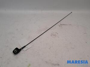 Antenne Dach Citroen C1  6561EA P20890572