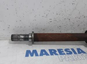 Drive Shaft RENAULT Kangoo/Grand Kangoo (KW0/1)