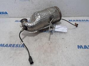 Catalytic Converter CITROËN C4 Grand Picasso II (DA, DE), CITROËN C4 Picasso II (--)