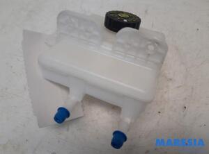 Brake Fluid Expansion Tank RENAULT Zoe (BFM)