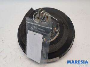 Brake Booster PEUGEOT 3008 MPV (0U_), CITROËN C4 II (B7), PEUGEOT 508 I (8D_), PEUGEOT 207 CC (WD_)