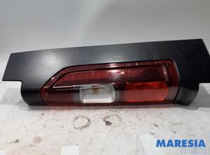 Combination Rearlight RENAULT Trafic III Kasten (FG)