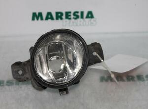 Fog Light RENAULT VEL SATIS (BJ0_)