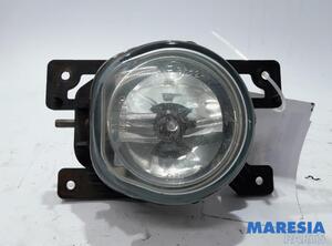 Mistlamp FIAT Doblo Cargo (263), FIAT Doblo Großraumlimousine (263), FIAT Doblo Pritsche/Fahrgestell (263)