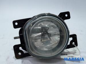 Mistlamp FIAT Doblo Cargo (263), FIAT Doblo Großraumlimousine (263), FIAT Doblo Pritsche/Fahrgestell (263)